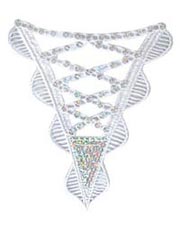 FBP0217 Lace Accessory